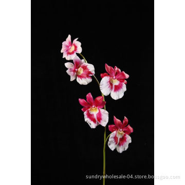 Phalaenopsis Spray